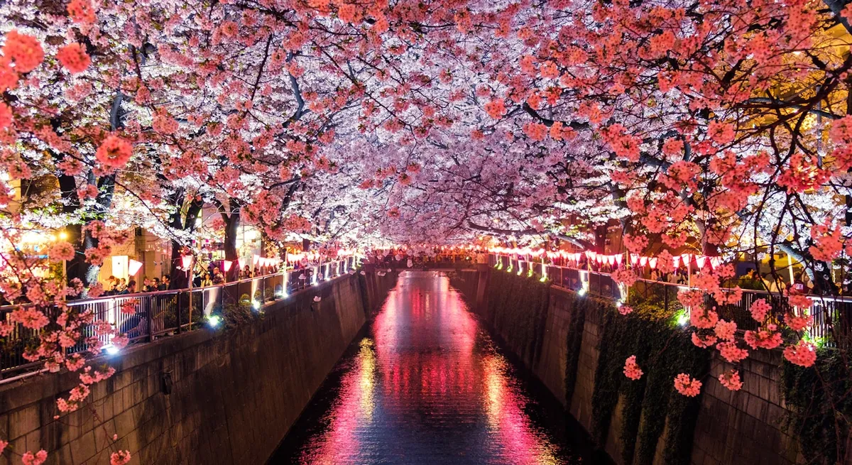 新幹線列車在月台